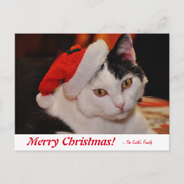 Personlig God jul Svartvit katt Vykort
