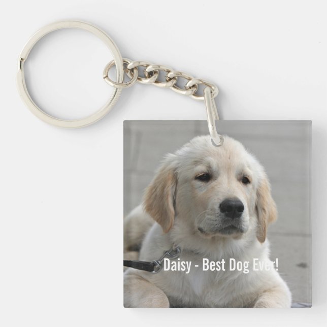 Personlig Golden Retriever Hund Photo and Namn (Framsidan)
