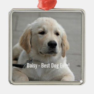 Personlig Golden Retriever Hund Photo and Namn Julgransprydnad Metall