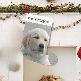 Personlig Golden Retriever Hund Photo and Namn Liten Julstrumpa