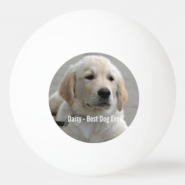 Personlig Golden Retriever Hund Photo and Namn Pingisboll (Framsidan)