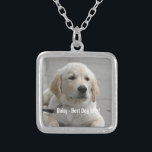 Personlig Golden Retriever Hund Photo and Namn Silverpläterat Halsband<br><div class="desc">Anpassa den här Golden Retriever-Hund med hund eller hundvalvets foto och namn (eller annat husdjursfoto eller personfoto/namn). Texten lyder "Bästa Hund någonsin" eller lägg till din egen text - Vi kärlek Daisy (din hund namn), hund födelsedag eller dagen då du passerar. Klicka bara på "anpassa" om du vill lägga till...</div>