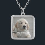 Personlig Golden Retriever Hund Photo and Namn Silverpläterat Halsband<br><div class="desc">Anpassa den här Golden Retriever-Hund med hund eller hundvalvets foto och namn (eller annat husdjursfoto eller personfoto/namn). Texten lyder "Bästa Hund någonsin" eller lägg till din egen text - Vi kärlek Daisy (din hund namn), hund födelsedag eller dagen då du passerar. Klicka bara på "anpassa" om du vill lägga till...</div>