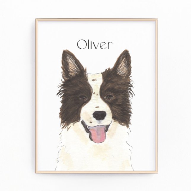 Personlig Gräns Collie Porträtt Fototryck (Skapare uppladdad)