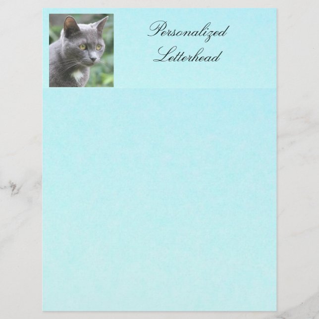 Personlig Grått Kattunge Letterhead (Framsida)