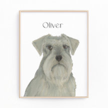 Personlig Grått Silver Schnauzer Art
