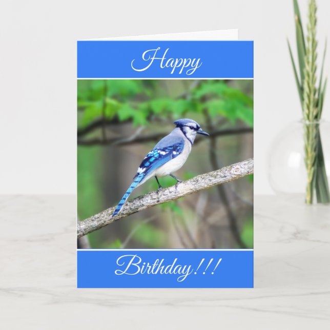 Personlig Grattis på födelsedagen Blue Jay Card Kort (Framsida)