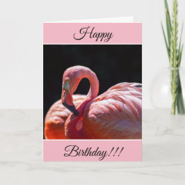 Personlig Grattis på födelsedagen Flamingo Card Kort