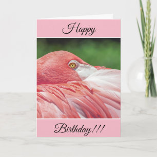 Personlig Grattis på födelsedagen Flamingo Card Kort