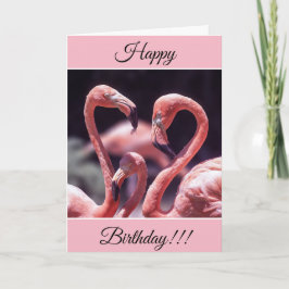 Personlig Grattis på födelsedagen Flamingos-kort Kort