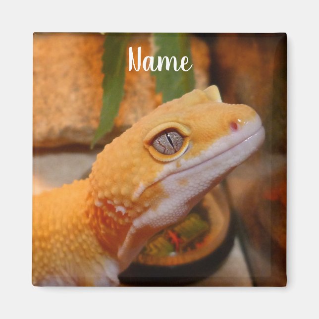 Personlig Gult Leopard Gecko Lizard Magnet (Framsidan)