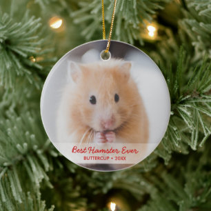 Personlig Hamster Pet Photo & Namn jul Julgransprydnad Keramik