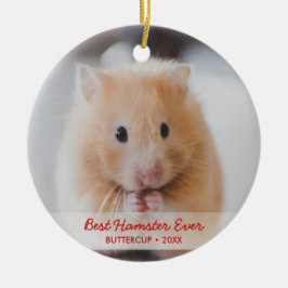 Personlig Hamster Pet Photo & Namn jul Julgransprydnad Keramik