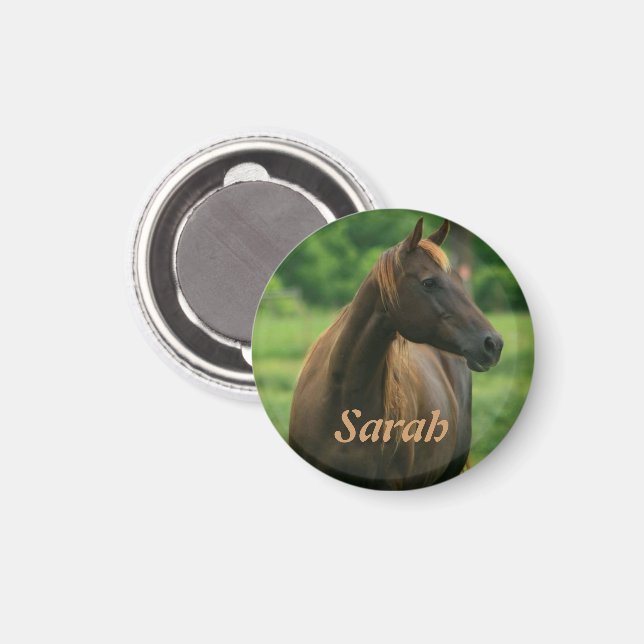 Personlig Horse Magnet (Front/Back)