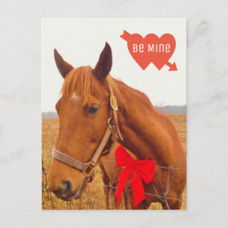 Personlig Horse Valentine med Bow Vykort