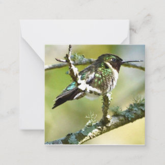 Personlig Hummingbird mini notecards Anteckningskort