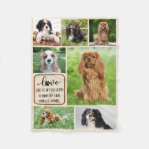 Personlig Hund, Cavalier Kung Charles Spain