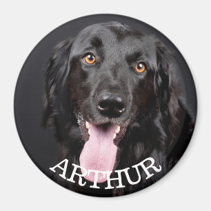 Personlig Hund Fotokylare Magnet