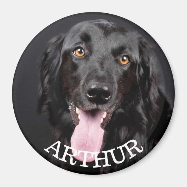 Personlig Hund Fotokylare Magnet (Framsidan)