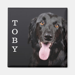 Personlig Hund - fotokylskåp - magnet