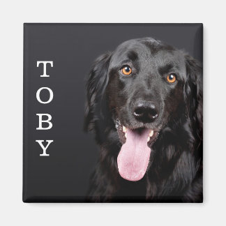 Personlig Hund - fotokylskåp - magnet