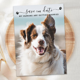 Personlig Hund Pet-fotospara datum för Bröllop-fot Spara Datumet