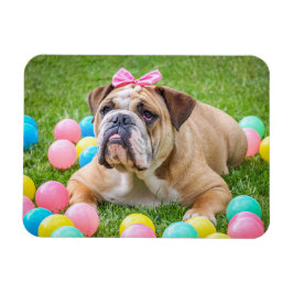 Personlig Hund Pet Photo Magnet