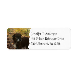 Personlig Hund Pet Photo Returadress Etikett