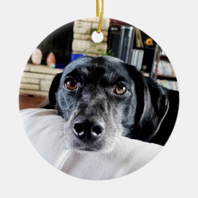 Personlig Hund Photo jul Julgransprydnad Keramik (Framsidan)