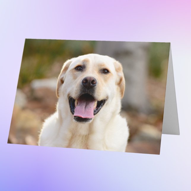 Personlig Hund Photo Kort (Skapare uppladdad)