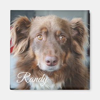 Personlig Hund Photo och Namn Magnet
