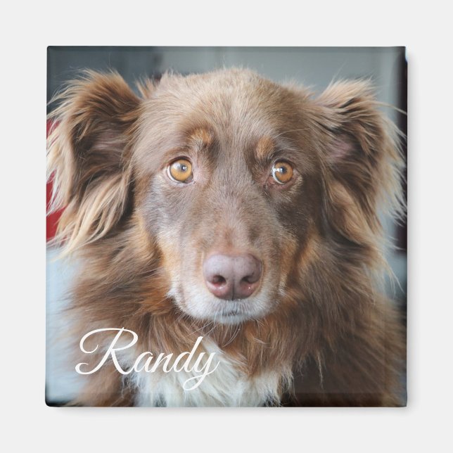 Personlig Hund Photo och Namn Magnet (Framsidan)