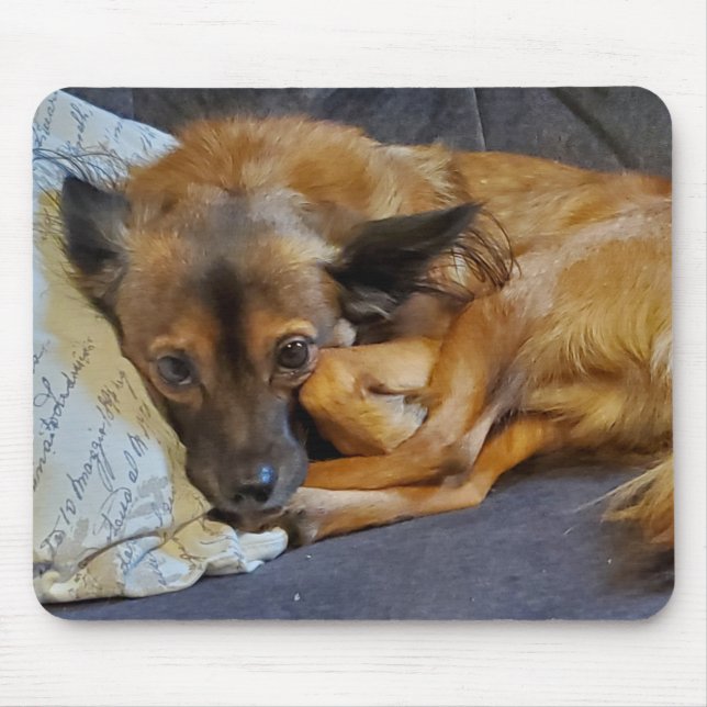 Personlig hundfoto   musmatta (Framsidan)