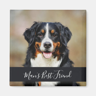 Personlig hundmagnet med foto magnet