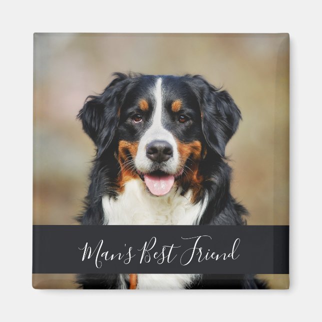 Personlig hundmagnet med foto magnet (Framsidan)