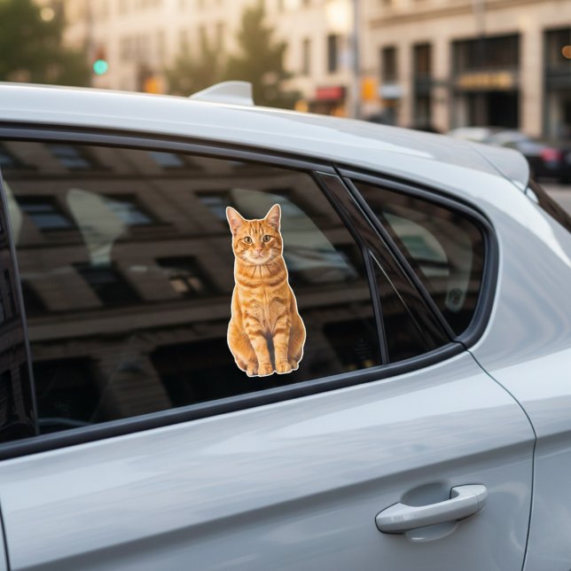 Personlig husdjursfoto dekal för bilfönster (Your Cat's Face, Your Car's New Decal.)
