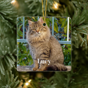 Personlig husdjursfoto Kattälskare och namn Julgransprydnad Keramik
