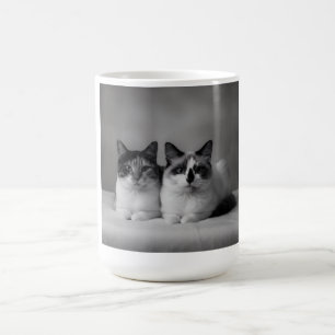 Personlig husdjurskopp – högupplöst kattfoto kaffemugg