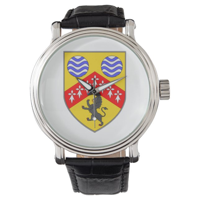 Personlig Irish County Manar vaktches Co. Laois. Armbandsur (Framsida)