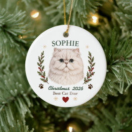 Personlig jul för persisk katt julgransprydnad keramik
