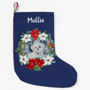 Personlig jul Juldagsfoto på husdjur Liten Julstrumpa