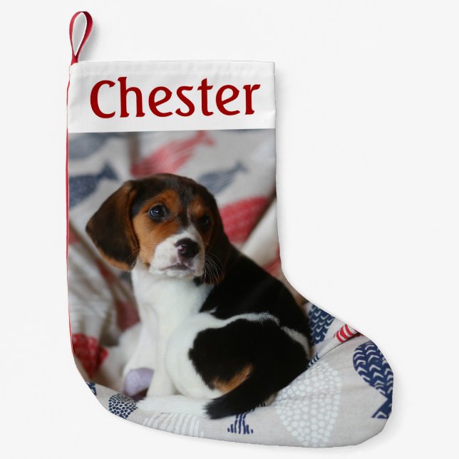 Personlig Jul Stock med Pet Photo Liten Julstrumpa (Framsidan)