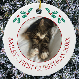 Personlig julbild på huskatt julgransprydnad keramik