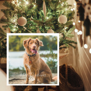 Personlig julcocktail med hundfoto pappersservett