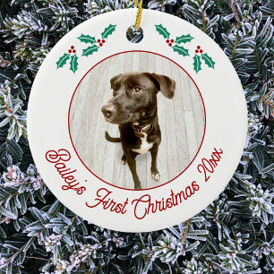 Personlig julfoto på husdjur valp hund julgransprydnad keramik