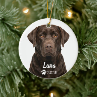 Personlig julgranskula med chokladlabrador