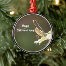 Personlig julgranskula med fjärilsfoto