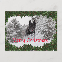 Personlig julkort med svart hund helg vykort