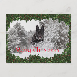 Personlig julkort med svart hund helg vykort