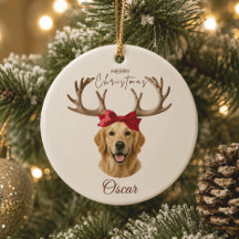 Personlig julpet-fotografi Namn Ornament